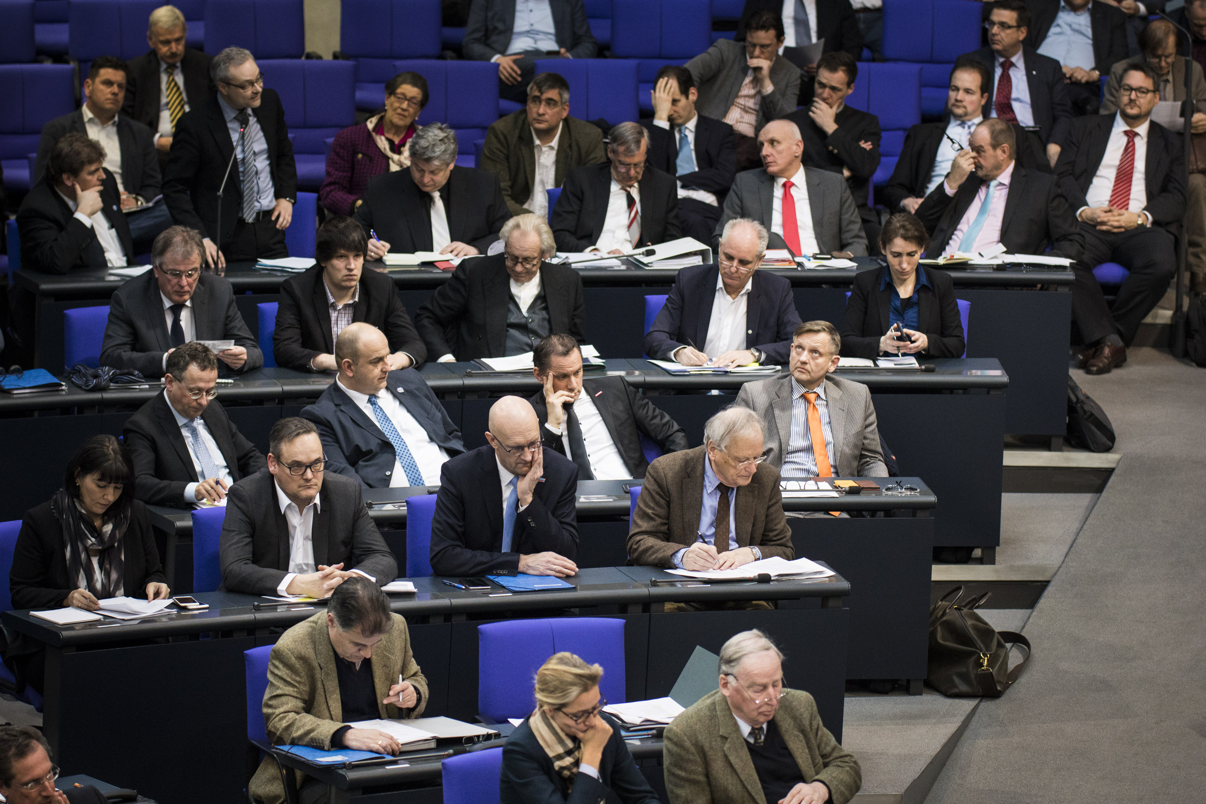 AfD-Fraktion im Bundestag