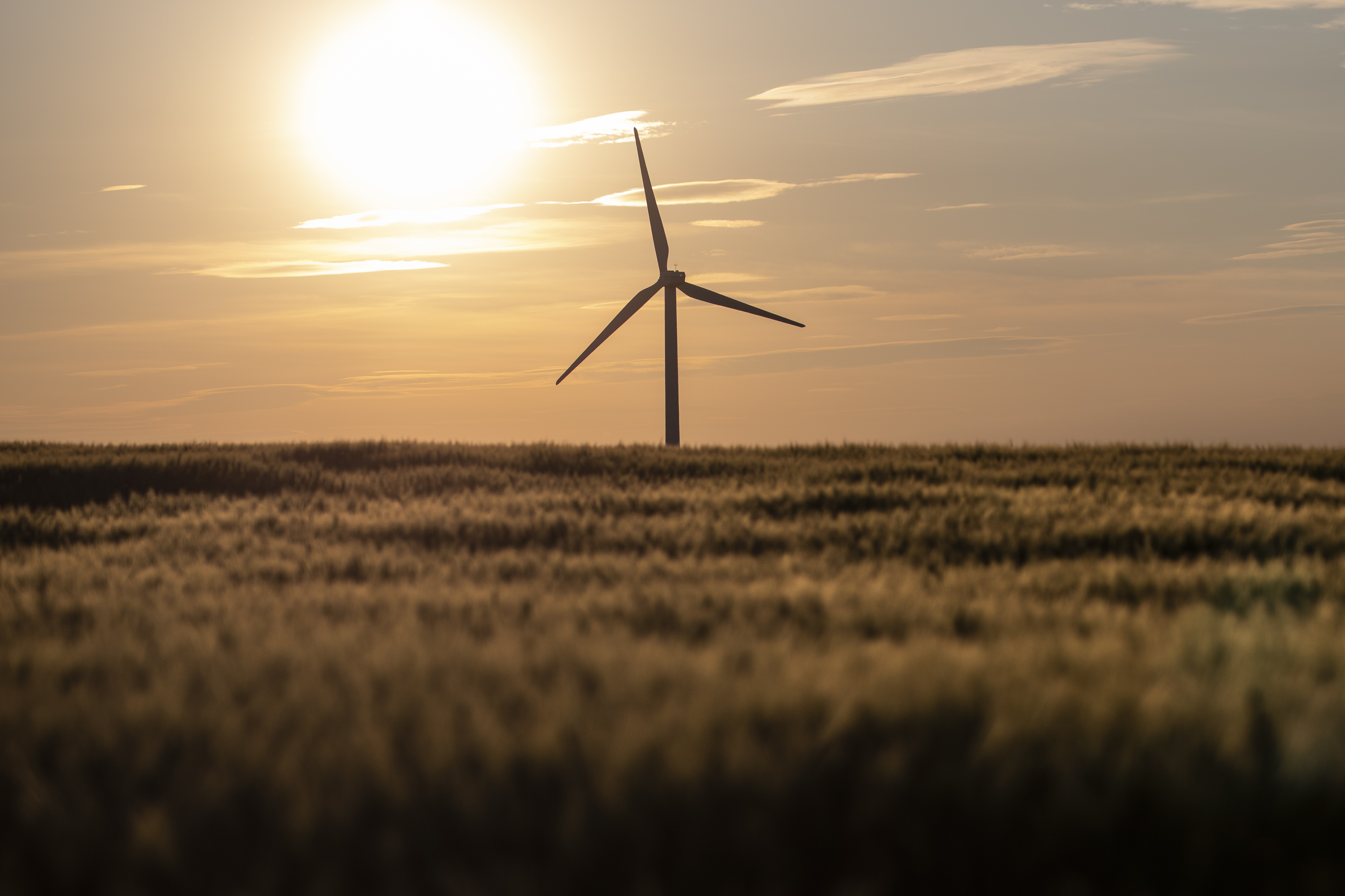 Damit die EU bis 2050 klimaneutral werden kann, muss der Ausbau erneuerbarer Energien forciert werden.