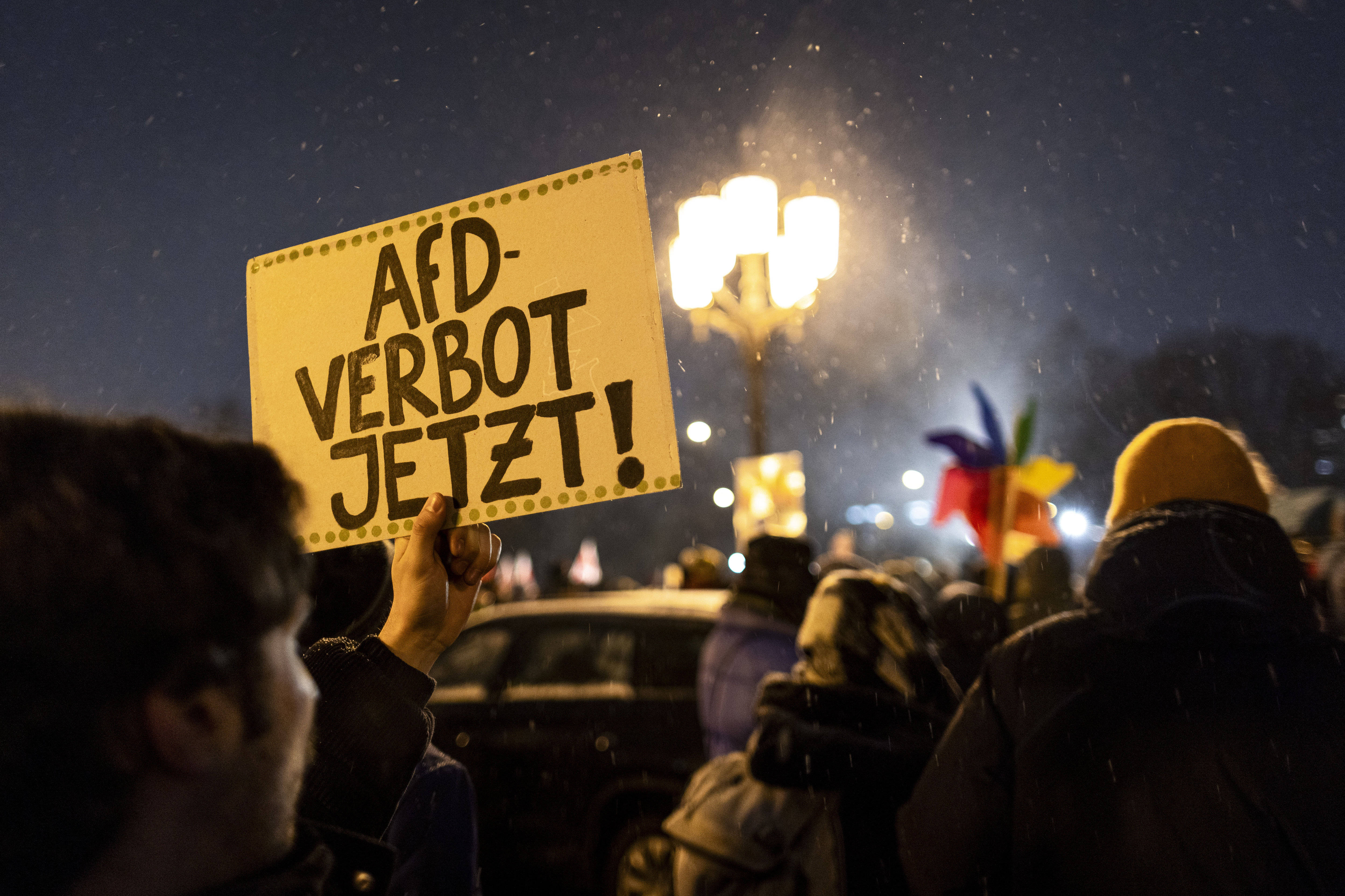 Diese Woche kam es in ganz Deutschland zu Demonstrationen gegen die AfD.