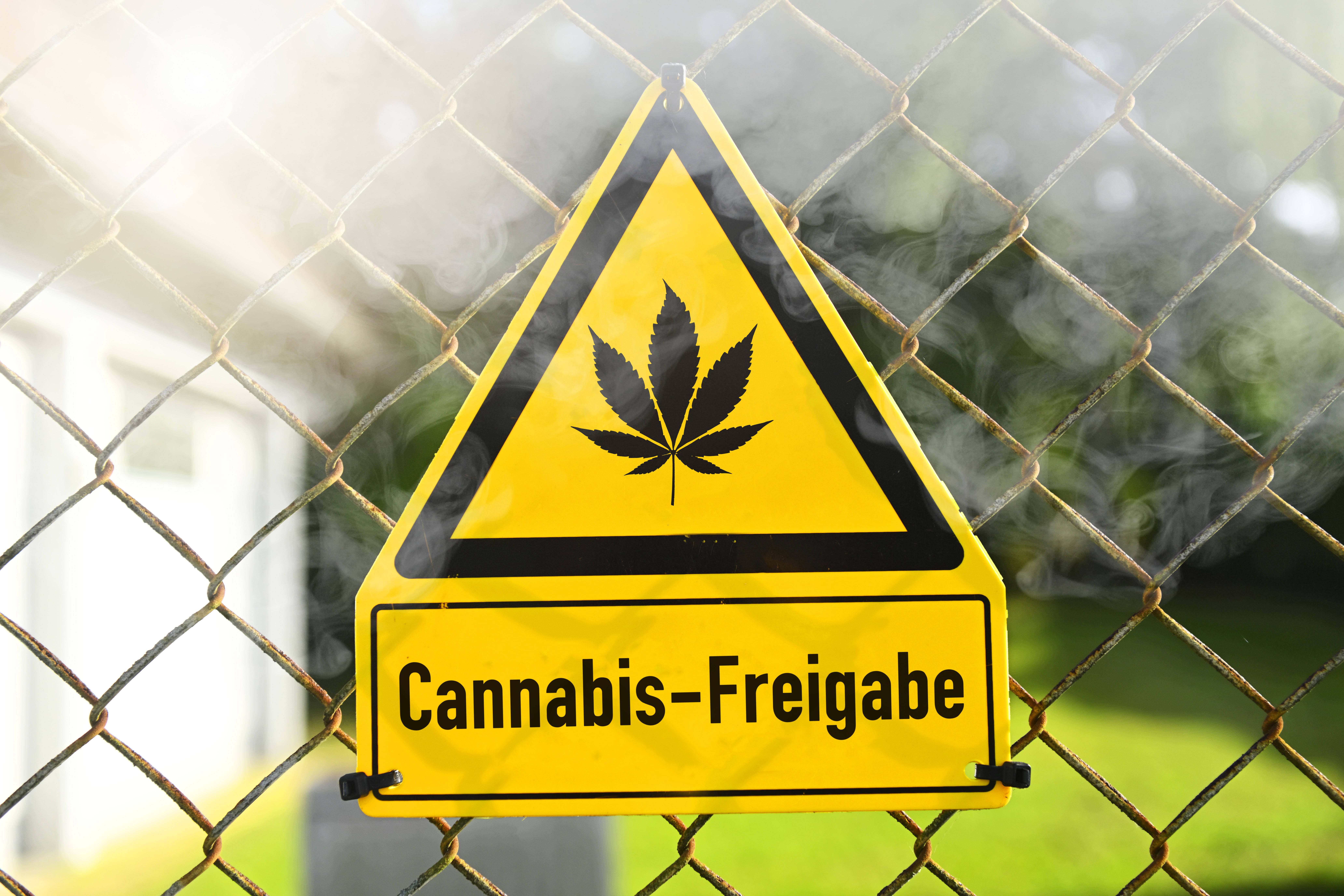 Die Bundesregierung plant die Legalisierung des privaten Cannabiskonsums: Dafür sind komplizierte rechtliche Hürden zu überwinden.