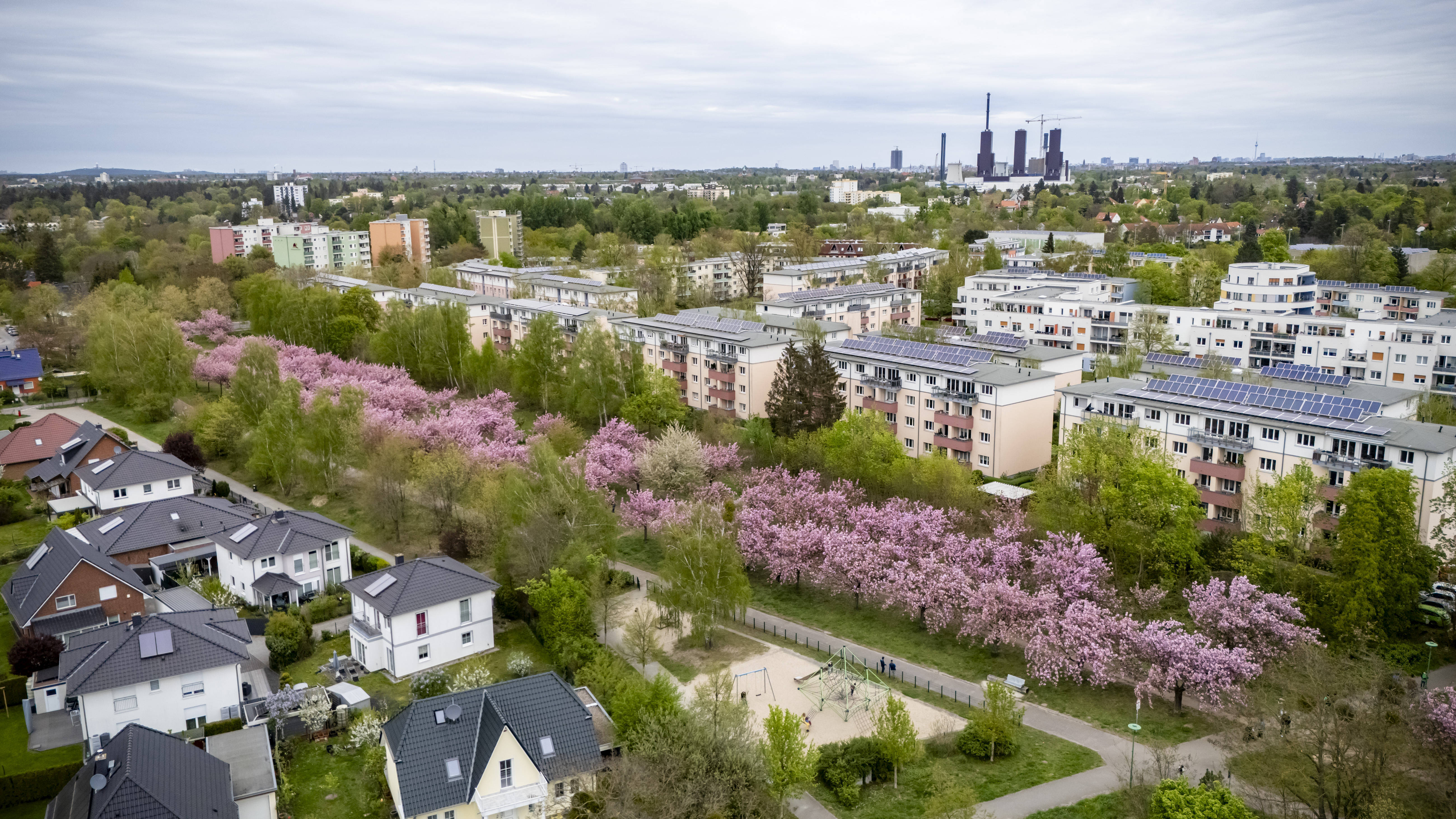 Blick auf die Stadt Teltow (mit Kirschblütenallee): Hier konnte die SPD deutliche Zugewinne erzielen.