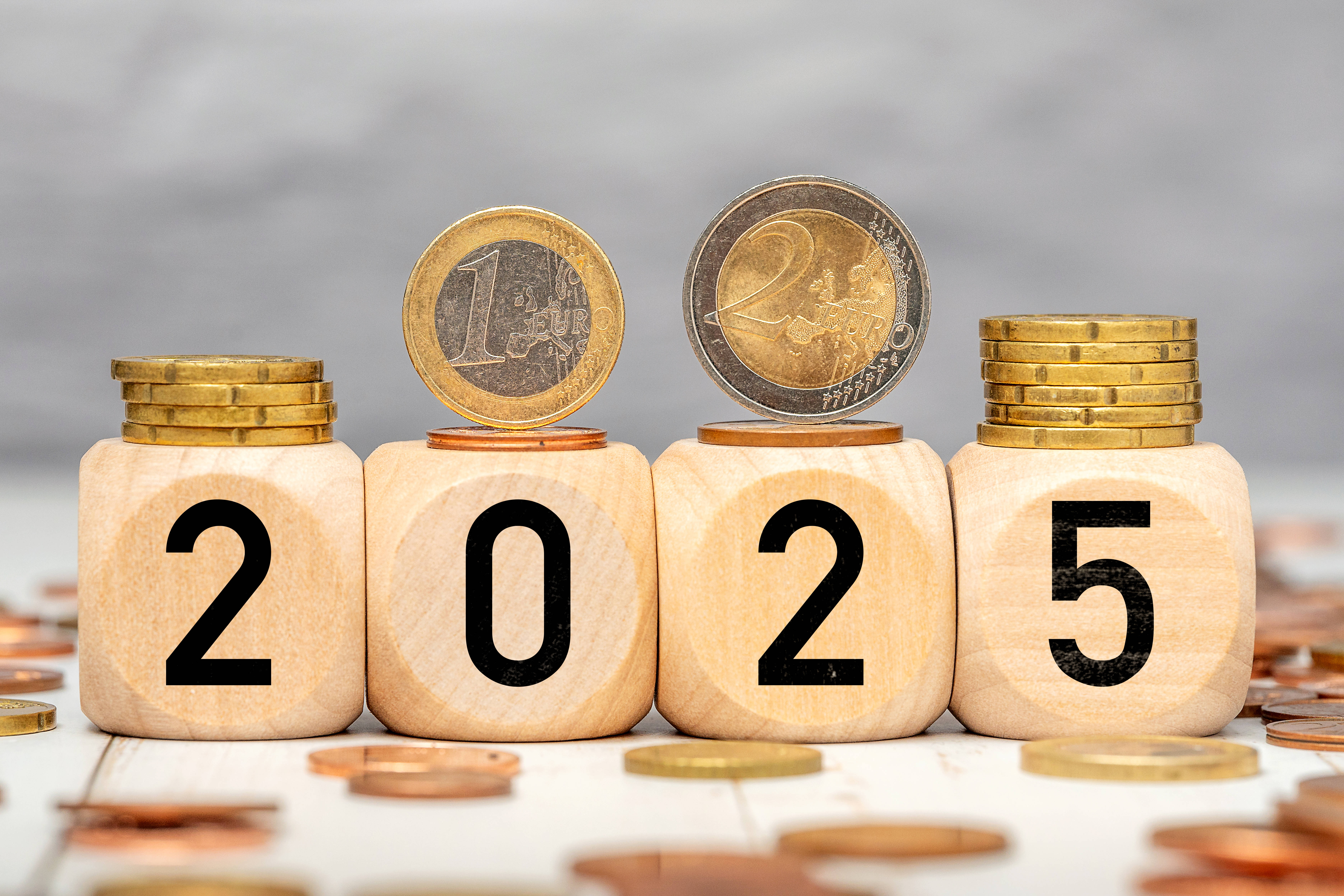 Am 17. Juli 2024 hat das Bundeskabinett den Haushaltsentwurf für 2025 verabschiedet. Die endgültige Entscheidung über den Etat trifft der Bundestag, vermutlich im November 2024.