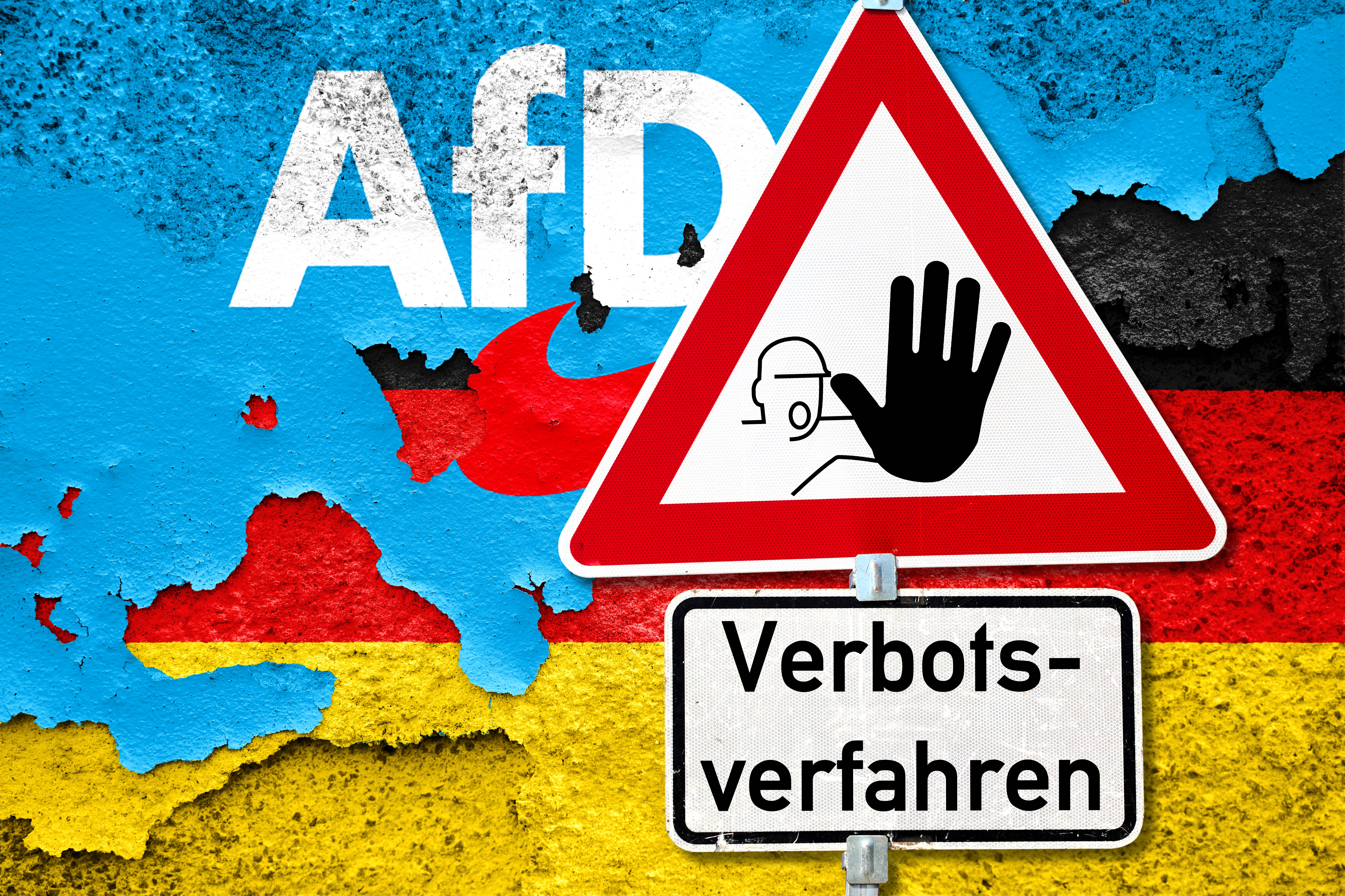 Kommt es oder kommt es nicht? Ein AfD-Verbotsverfahren birgt einige Risiken, meinen Staatsrechtler*innen.