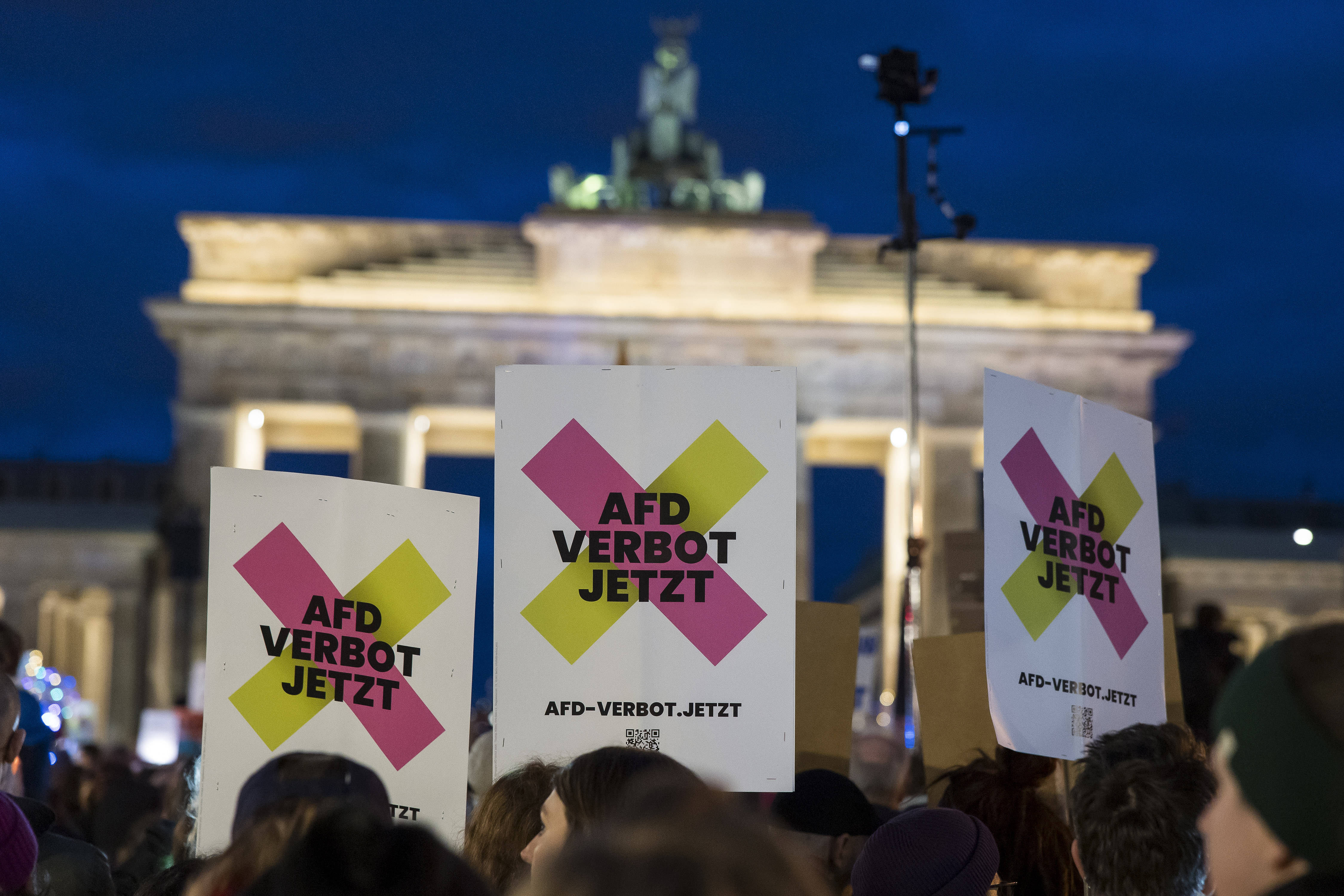 Demonstrant*innen fordern vor dem Brandenburger Tor ein AfD-Verbot.