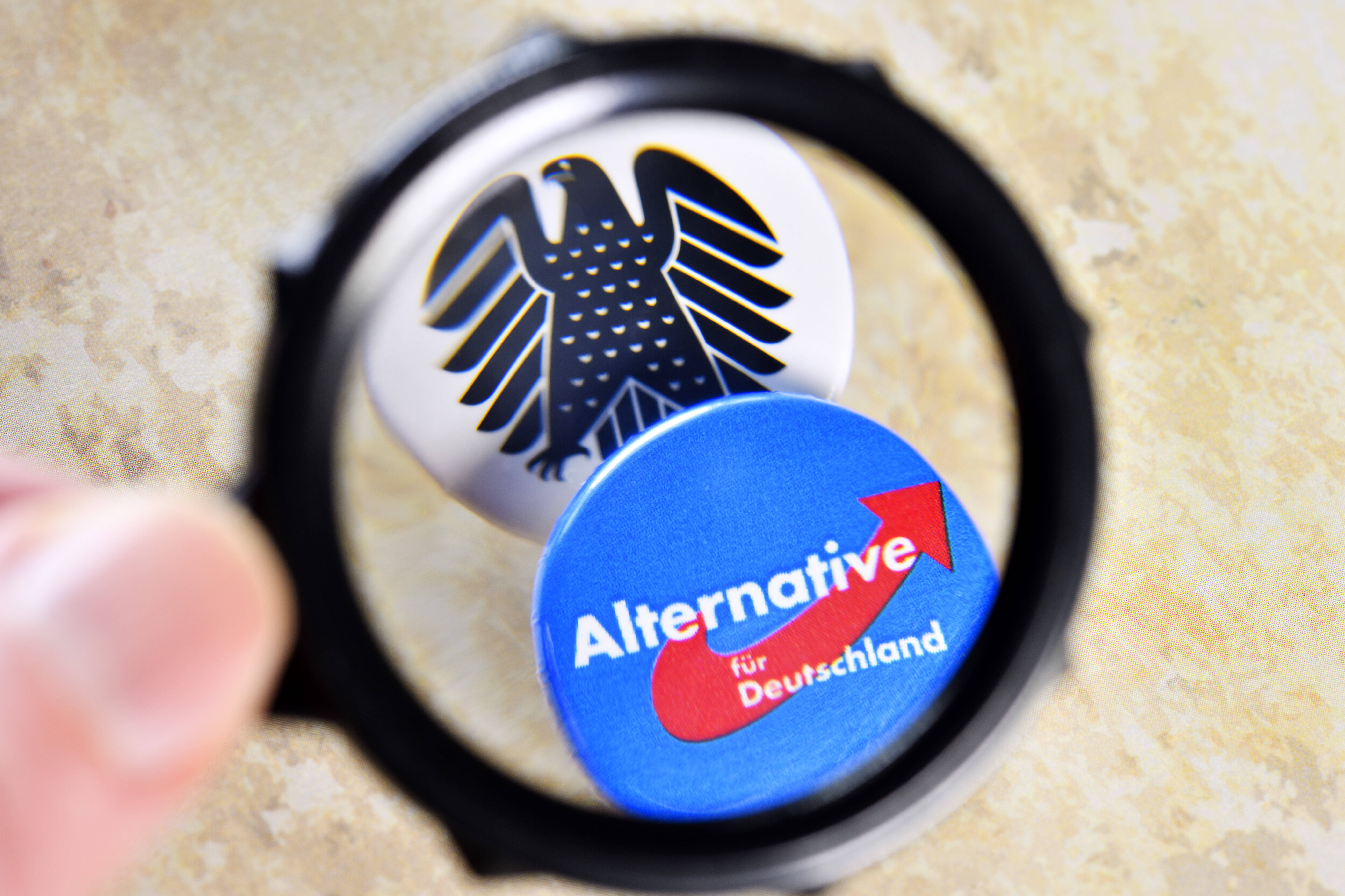 Der Verfassungsschutz sieht die AfD als gesichert rechtsextremistische Bestrebung“ an. Die SPD fordert Konsequenzen.