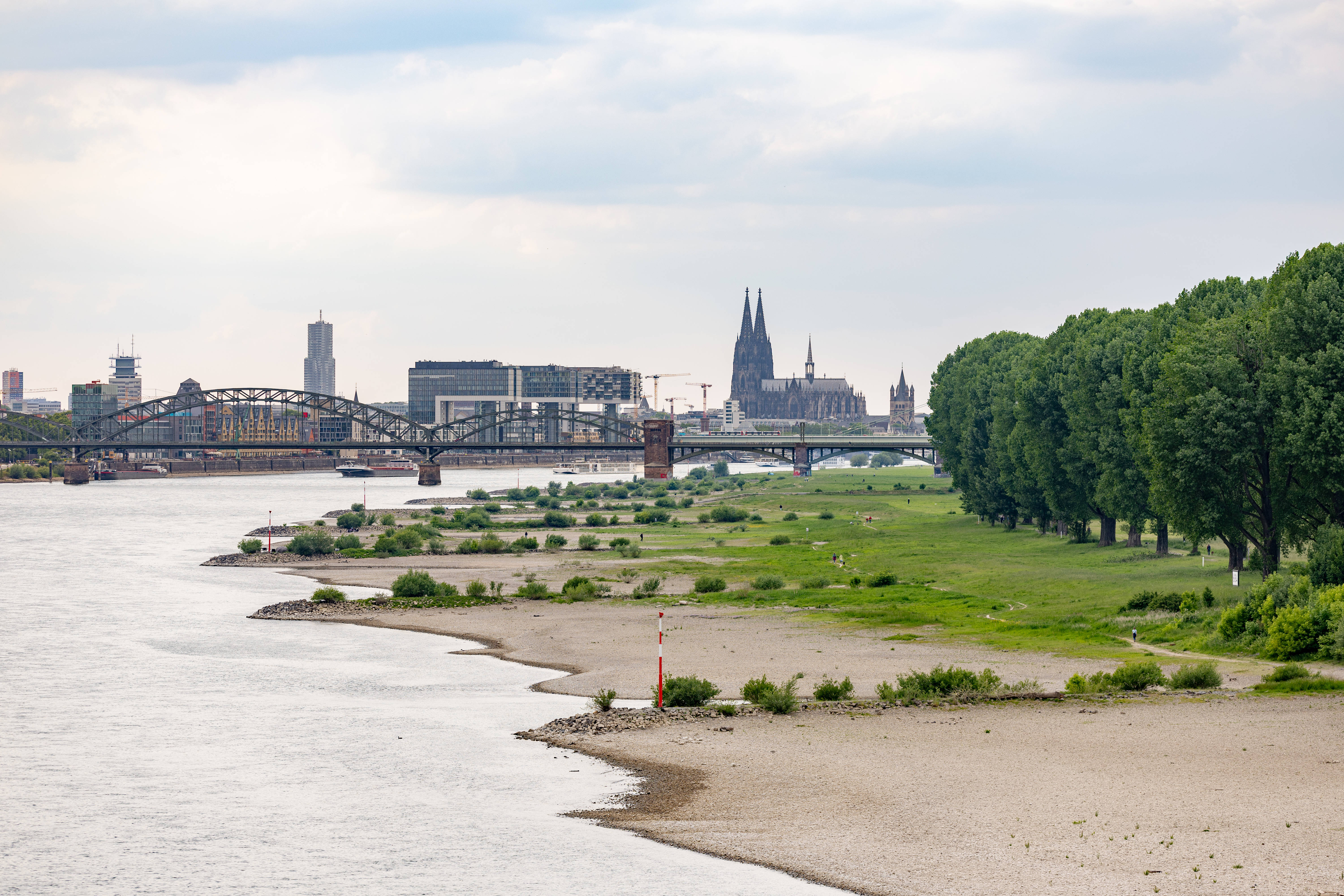 Ein fast ausgetrocknetes Flussbett mit dem Kölner Dom im Hintergrund.
