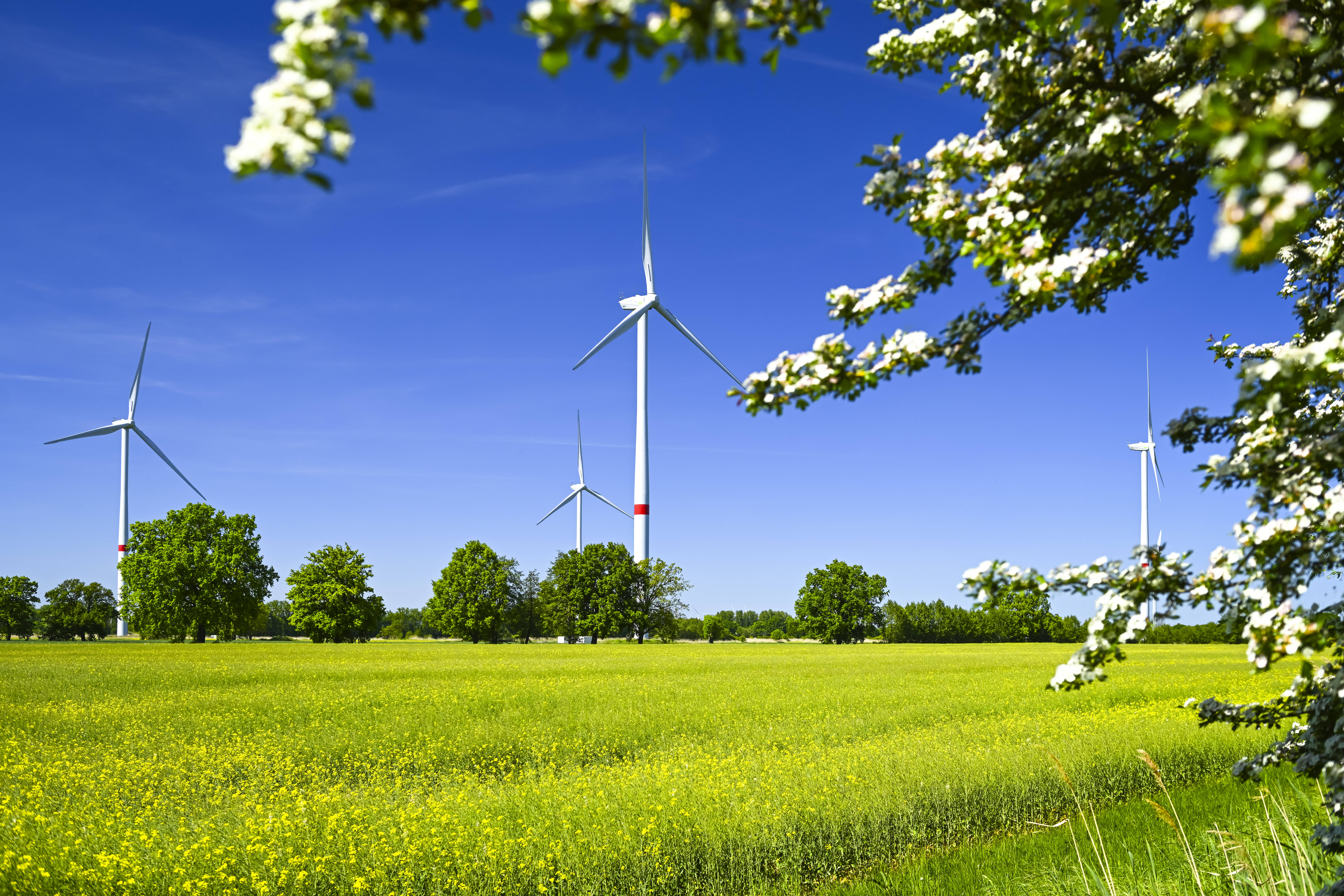 Windräder auf einer Wiese in der Nähe von Hamburg