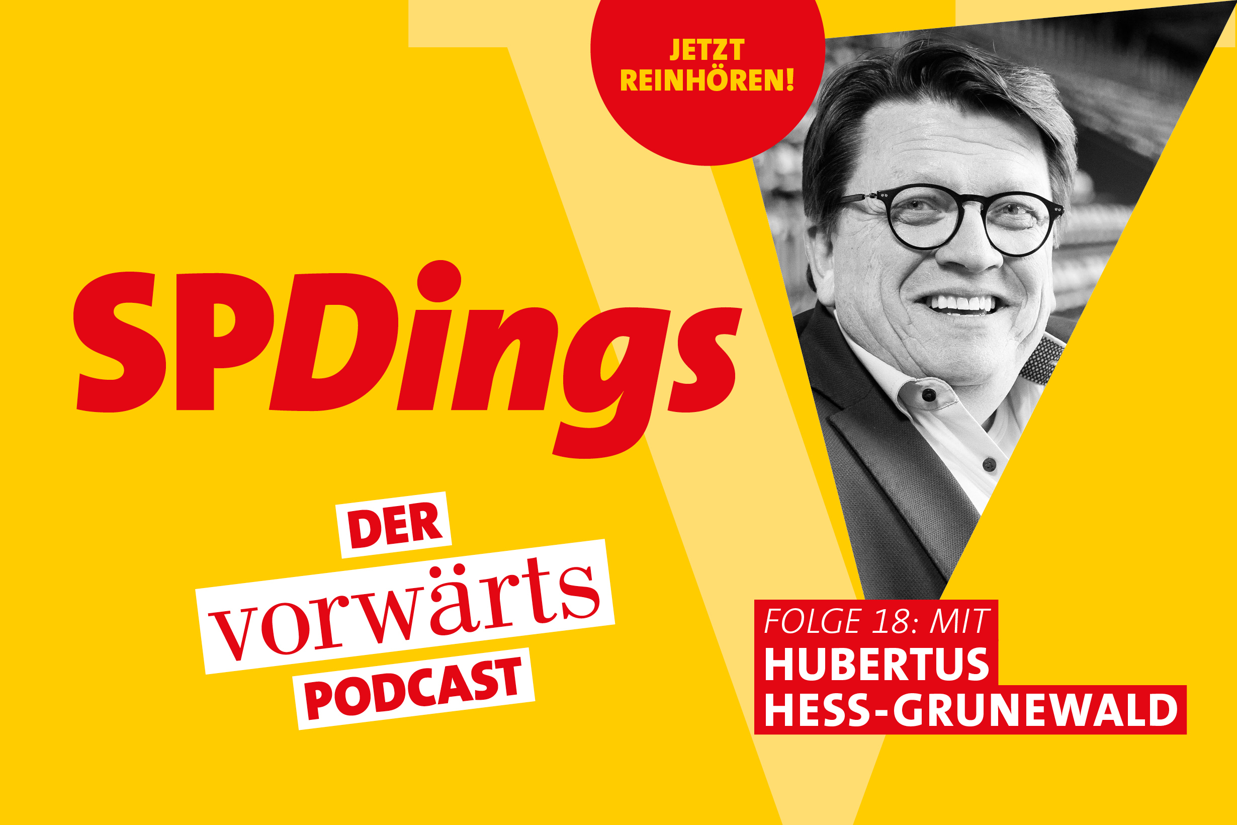 Hubertus Hess-Grunewald ist Präsident von Werder Bremen und will für die SPD in die Bürgerschaft.