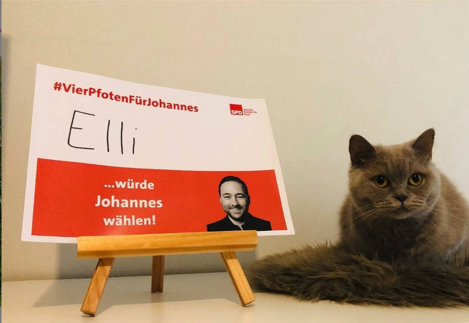 „Tierlieb war ich schon immer.“ Katzen, Hunde, Vögel und sogar ein Esel werben für den SPD-Abgeordneten Johannes Schraps.