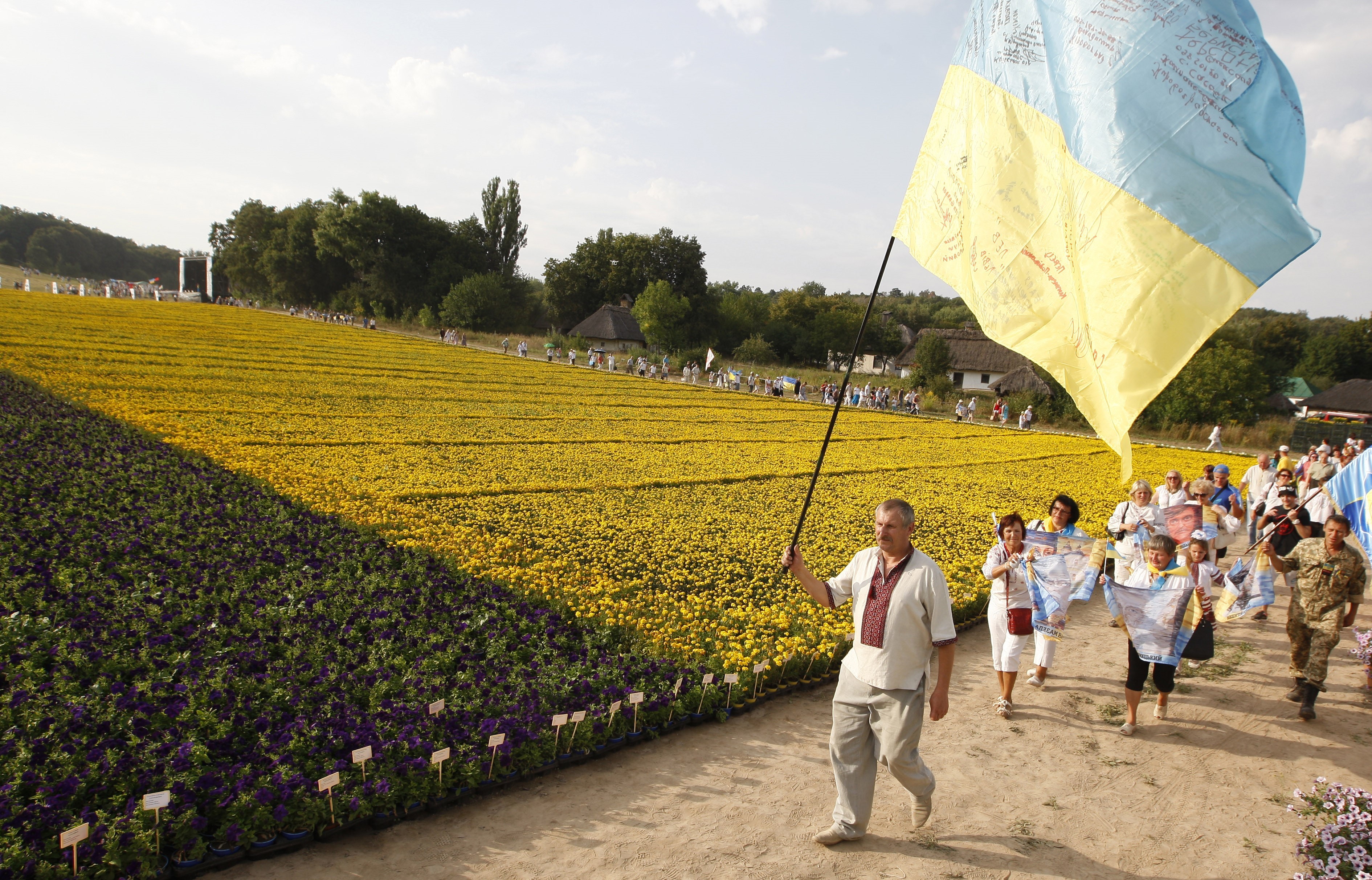 Blau und Gelb, die Farben der Ukraine: Hier mit blauen und gelben Blumen als grösste Flagge der Welt