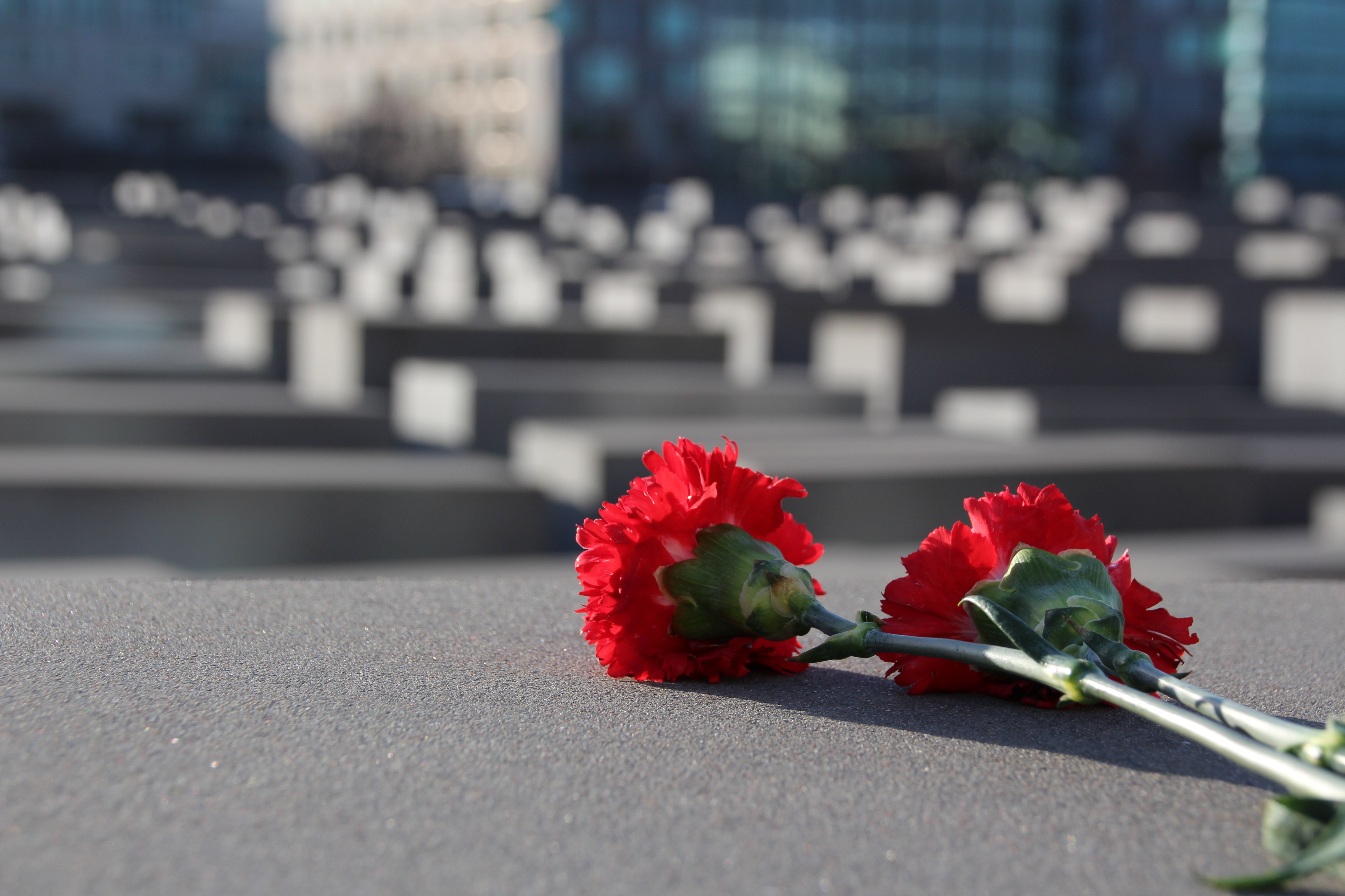 Das Gedenken wachhalten: Blumenniederlegungen für die Opfer des Nationalsozialismus sind in diesem Jahr nur individuell möglich.