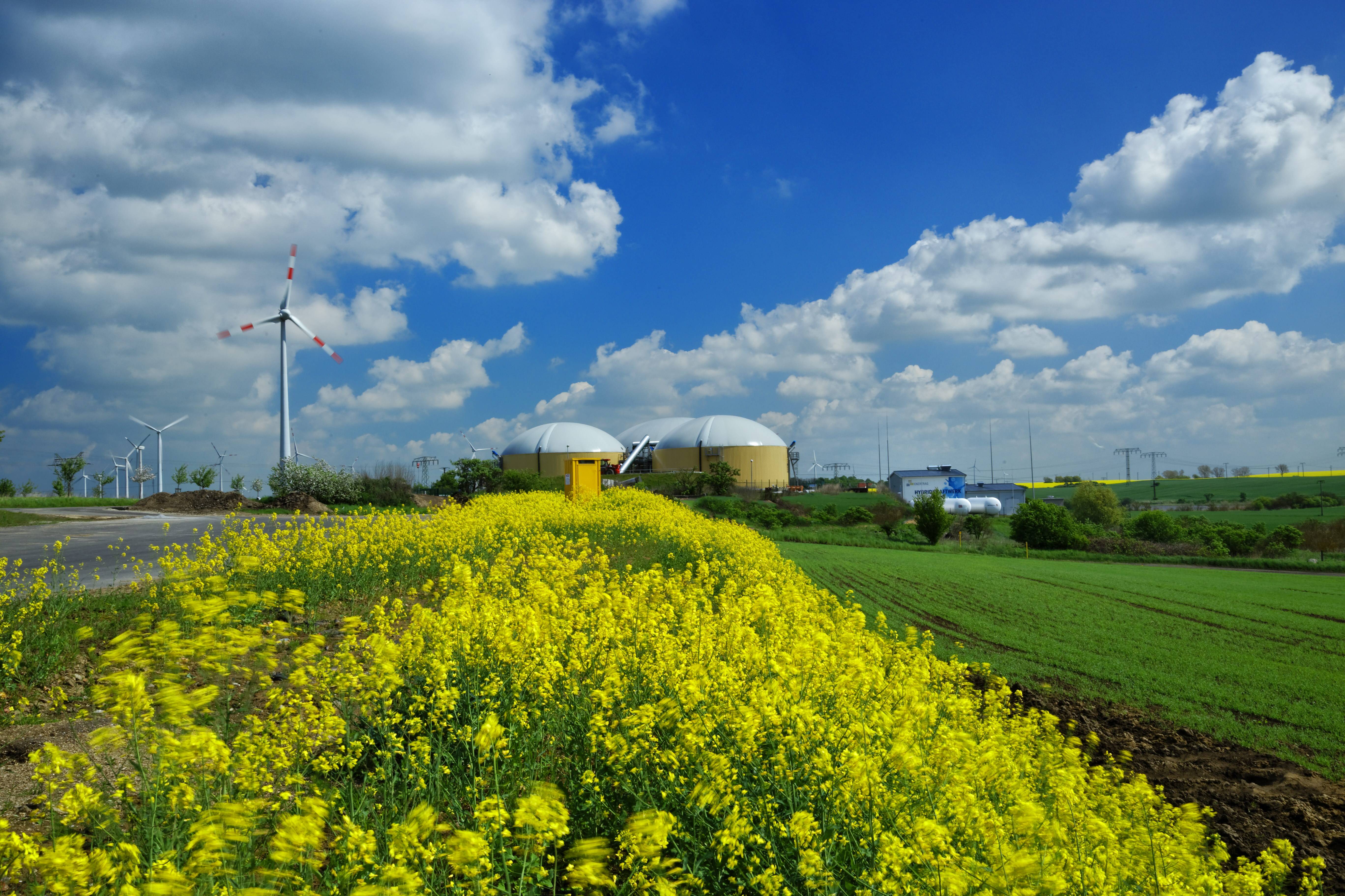 Seit 2011 betreibt Enertrag in der Uckermark in Brandenburg ein Hybridkraftwerk, in dem aus überschüssiger Windenergie Wasserstoff gewonnen werden kann.