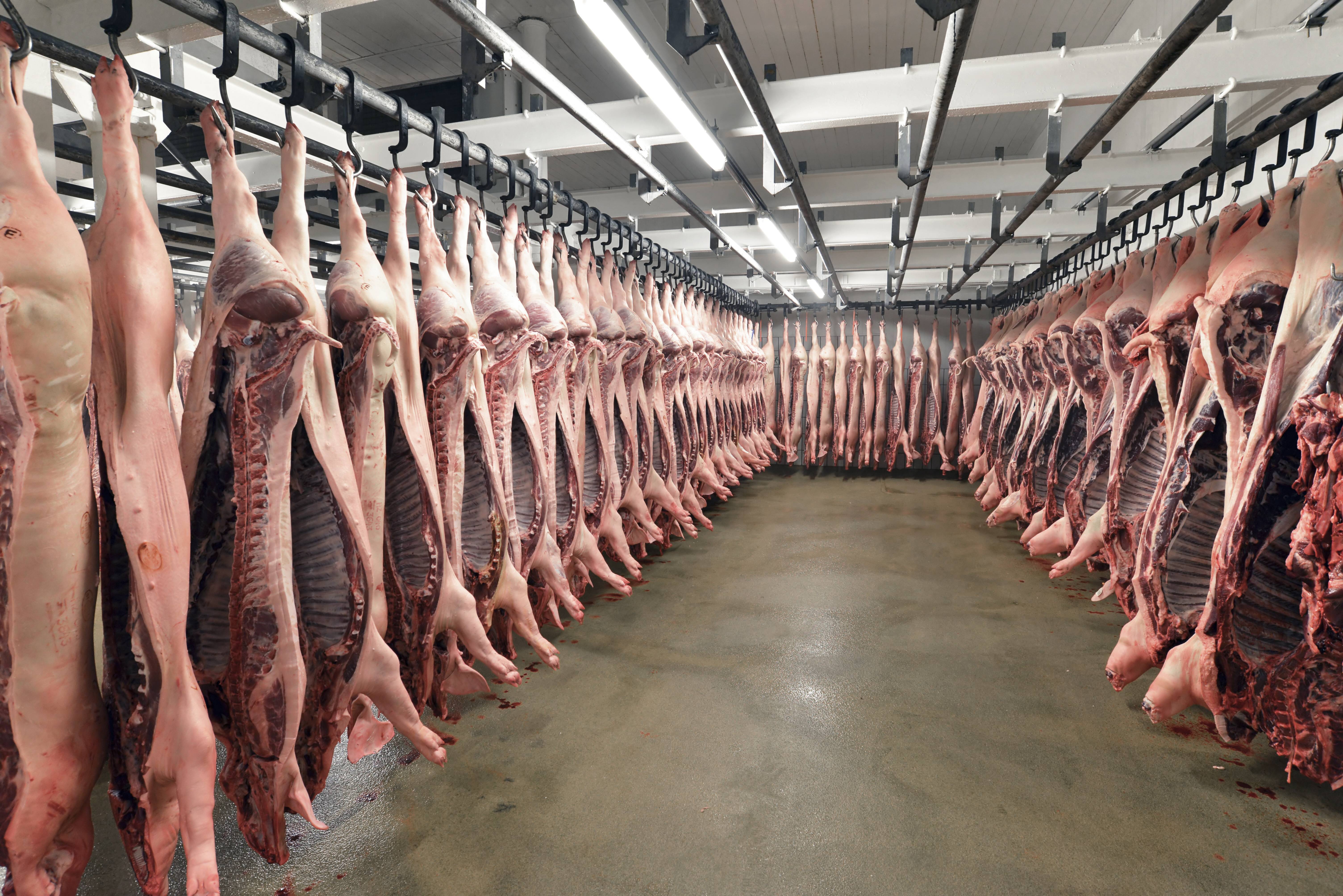 In der Fleischindustrie kam es zuletzt zu zahlreichen Neuinfektionen mit dem Virus Sars-Cov-2