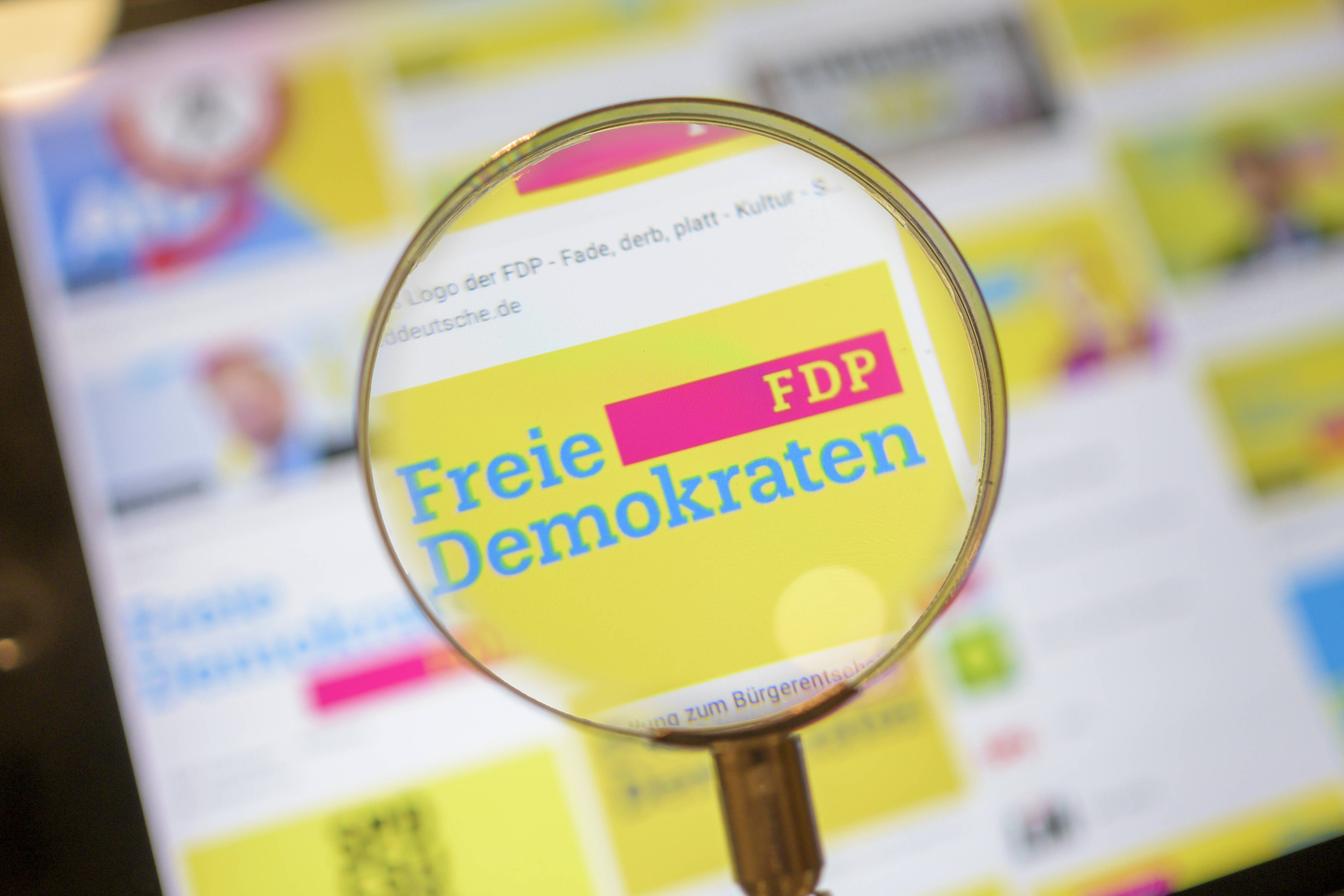 Wieviel Wirtschaftskompetenz hat die FDP wirklich? Ökonom Gustav Horn hat ihr Programm für die Bundestagswahl unter die Lupe genommen.