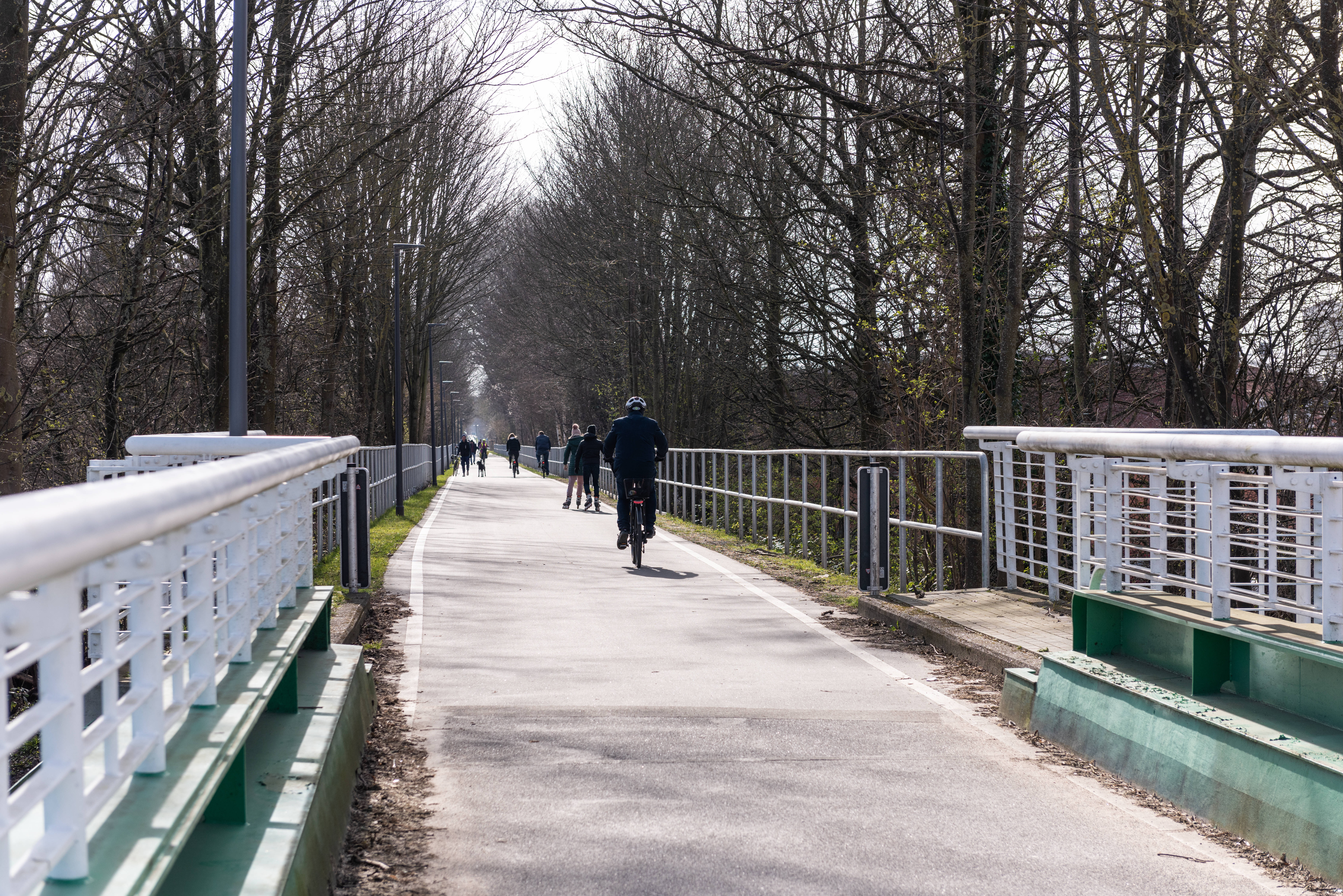 Verkehrswende konkret: In Kiel radeln die Menschen seit 2019 auf Velorouten quer durch die Stadt, anstatt sich ins Auto zu setzen. Das spart Zeit und CO2-Emissionen.