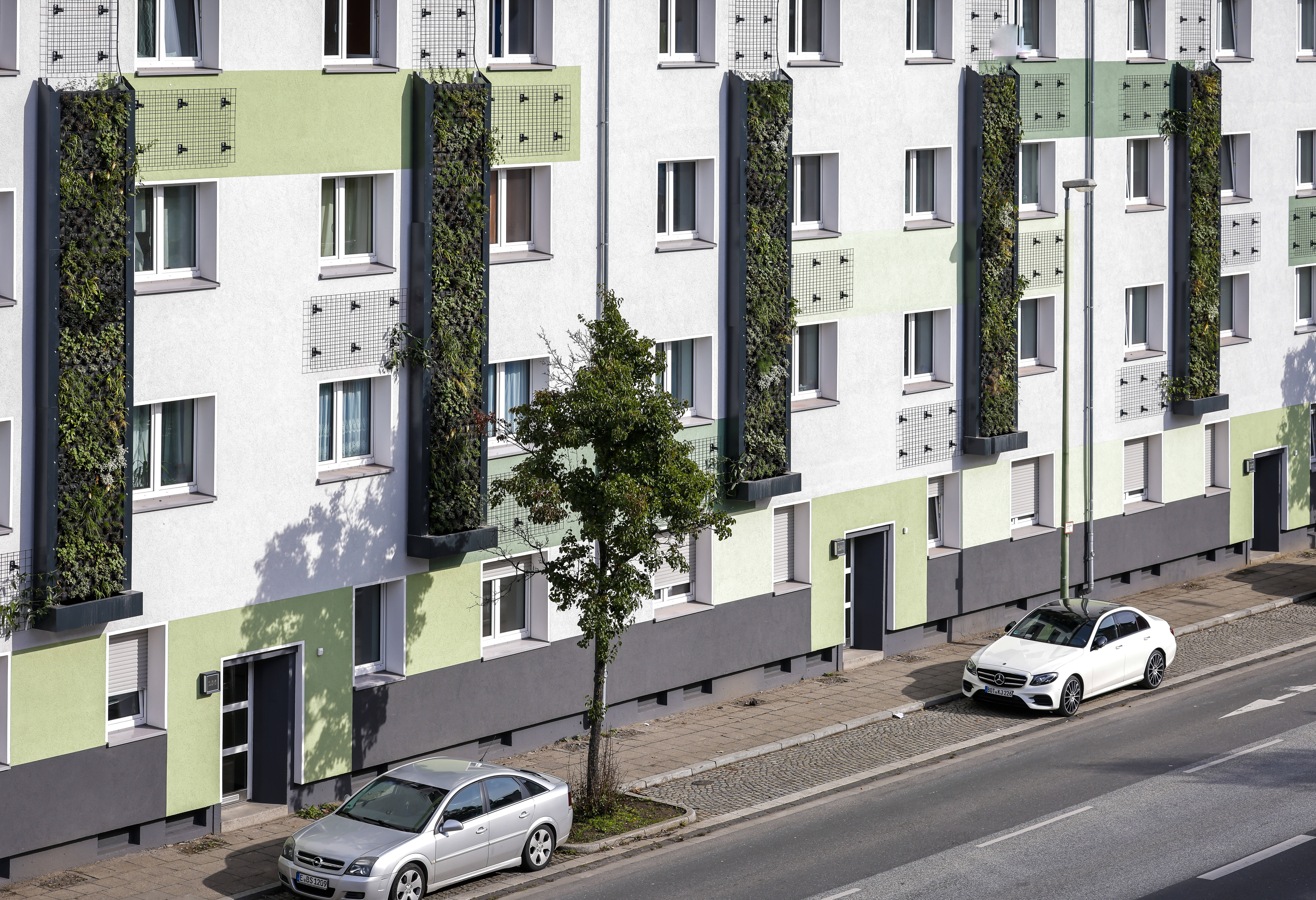 Klimaschutz am Gebäude: In Essen fördern Stauden, Gräser und Kleingehölze Schadstoffe aus der Luft und verbessern damit das Stadtklima.