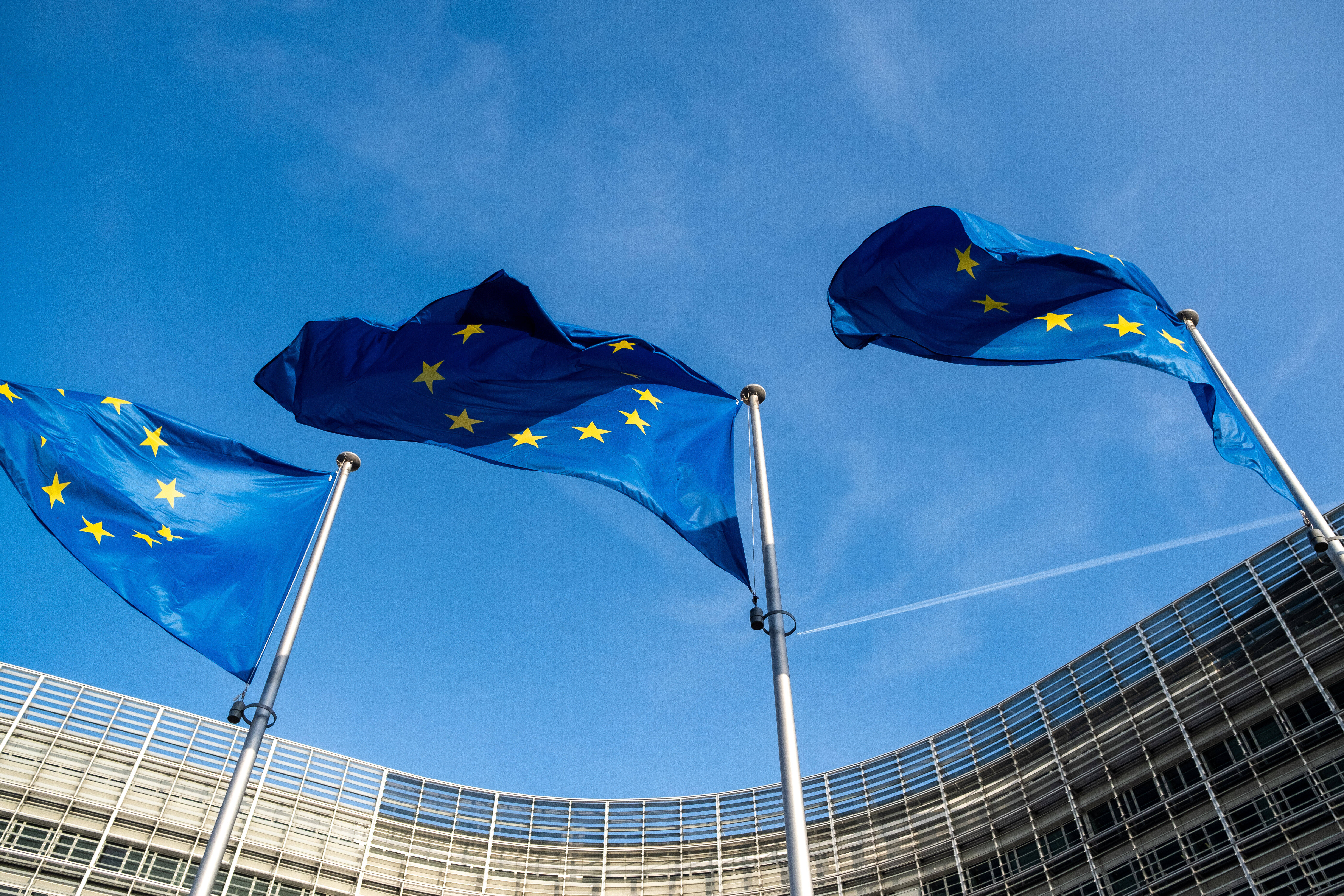 Lernen von Willy Brandt: Die EU muss sich kraftvoller und konsequenter gegen Rechtspopulismus und Rechtsextremismus in Europa engagieren.