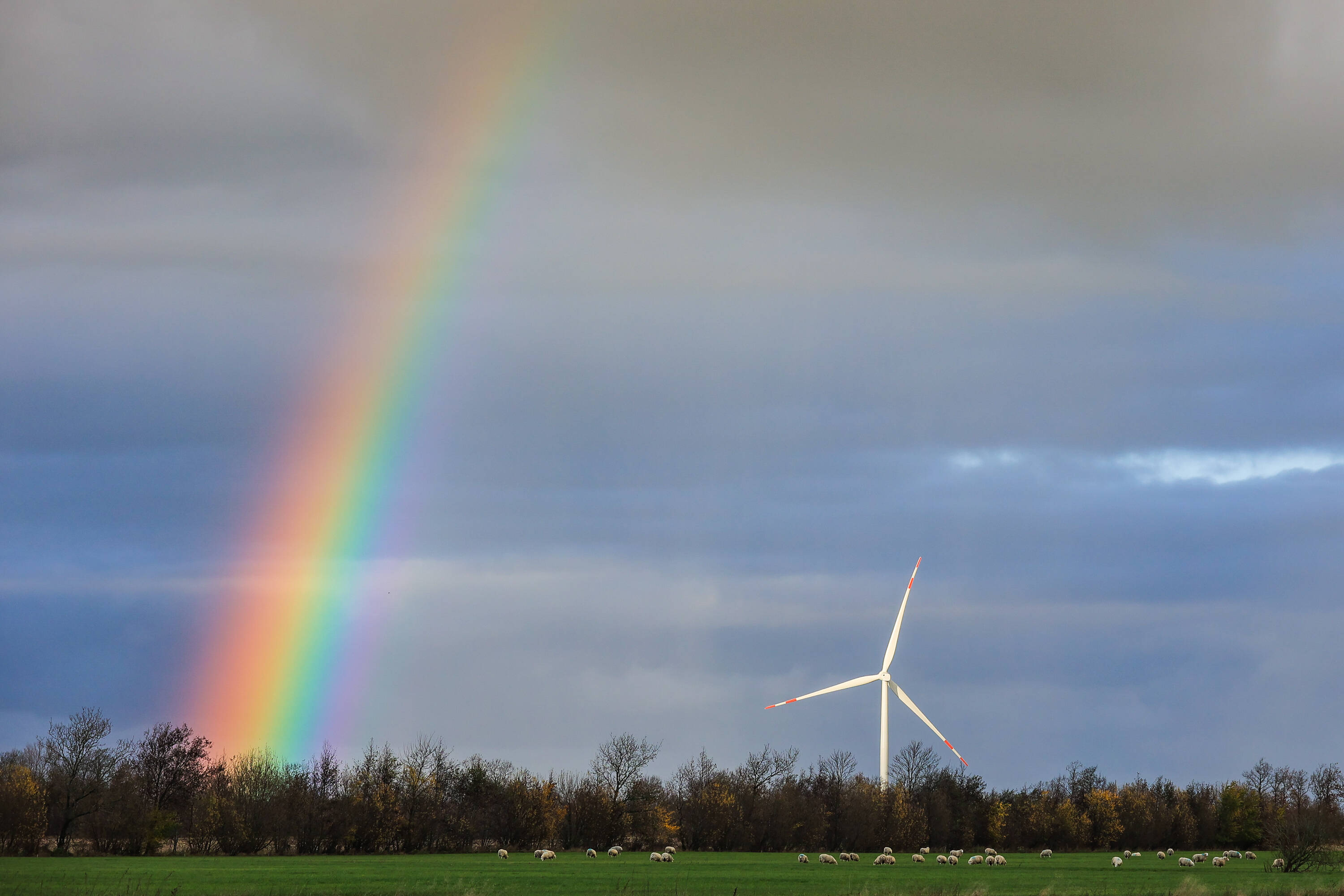 Mehr als ein Silberstreif am Horizont: Der Koalitionsvertrag nimmt beim Klimaschutz den Fuß von der Bremse. Jetzt kommt es auf die Umsetzung an.