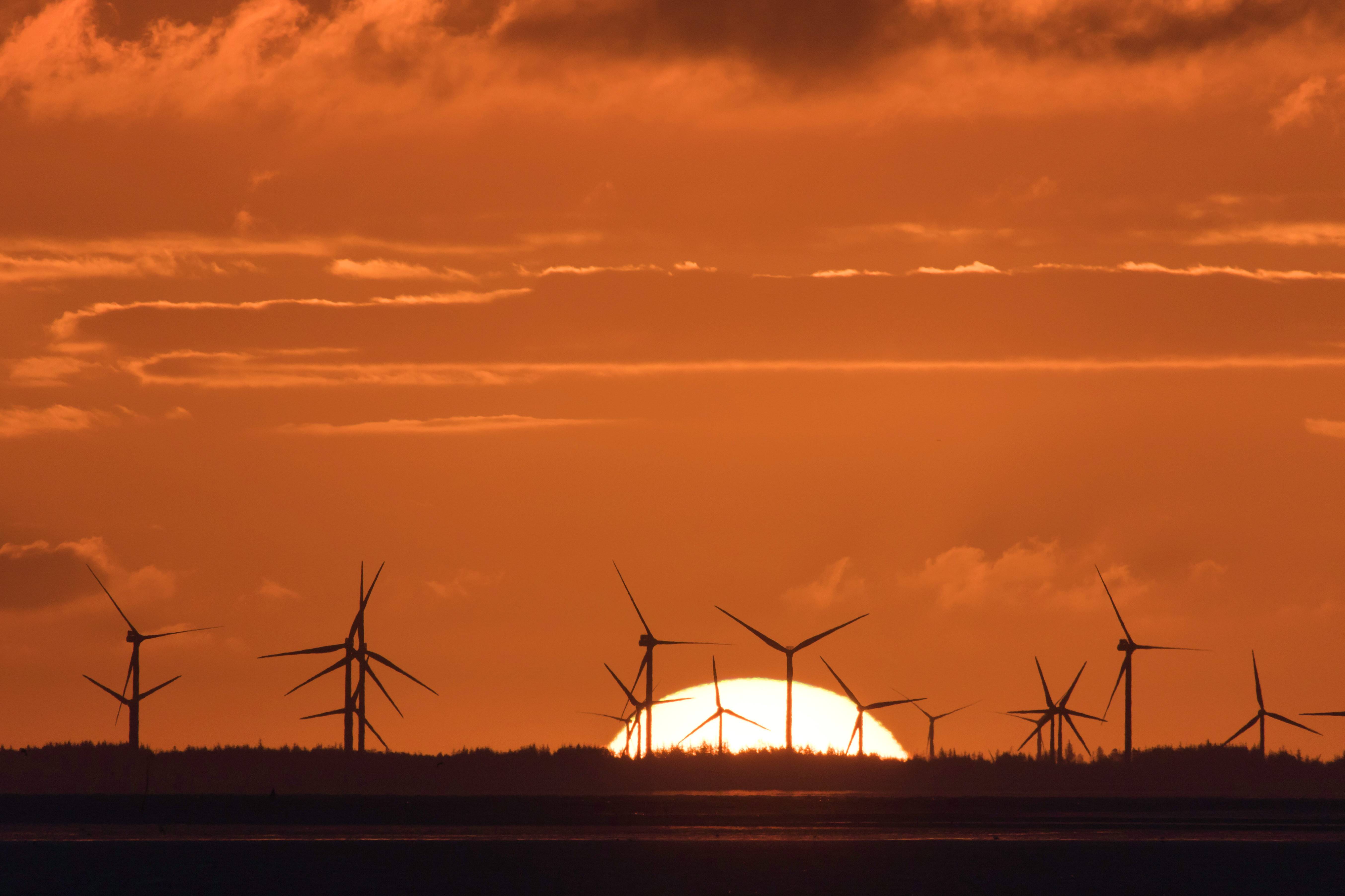 Dem Morgenrot entgegen: Der „European Green Deal“ soll das Markenzeichen der neuen EU-Kommission werden.