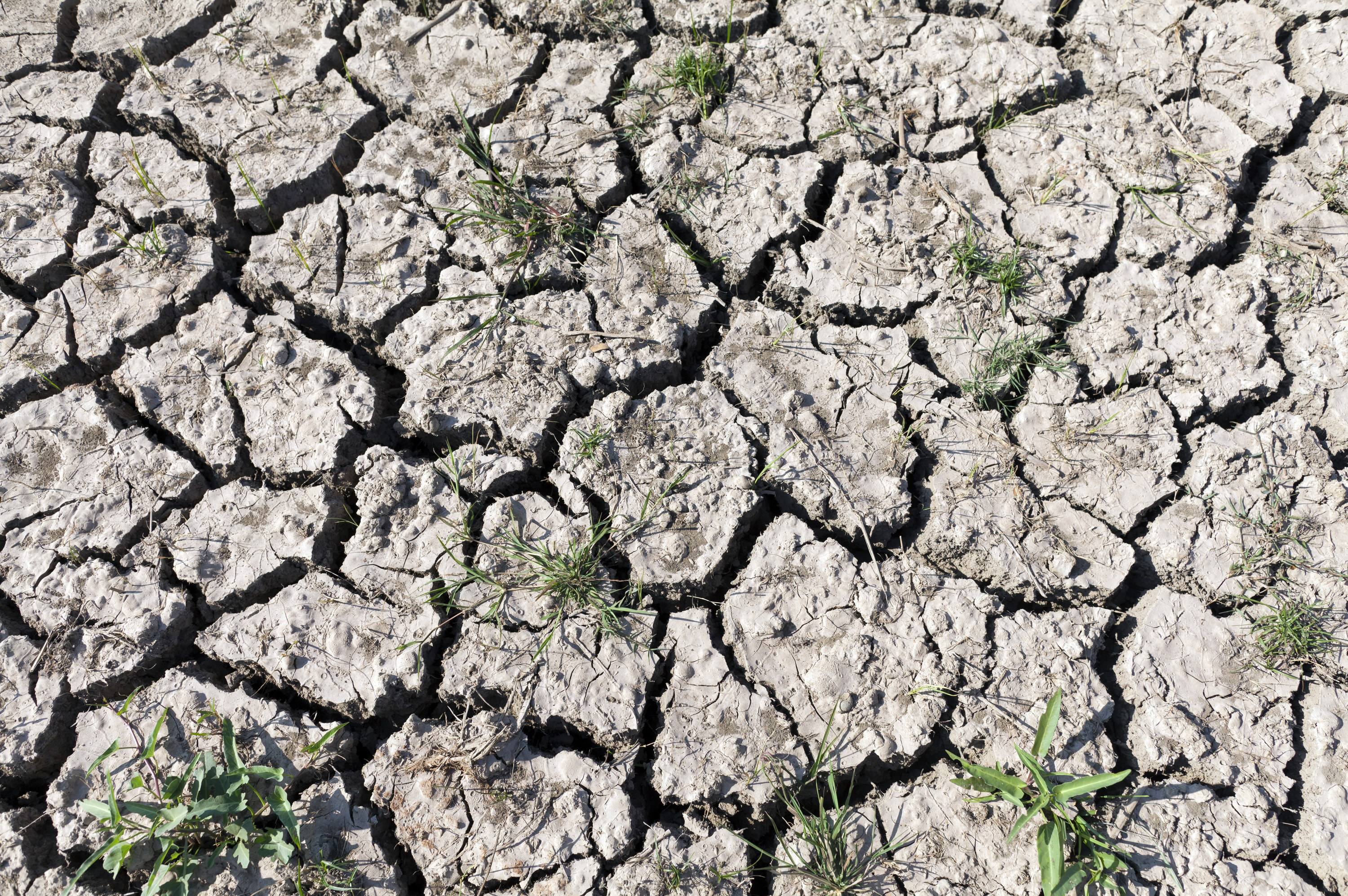 Klimakonferenz