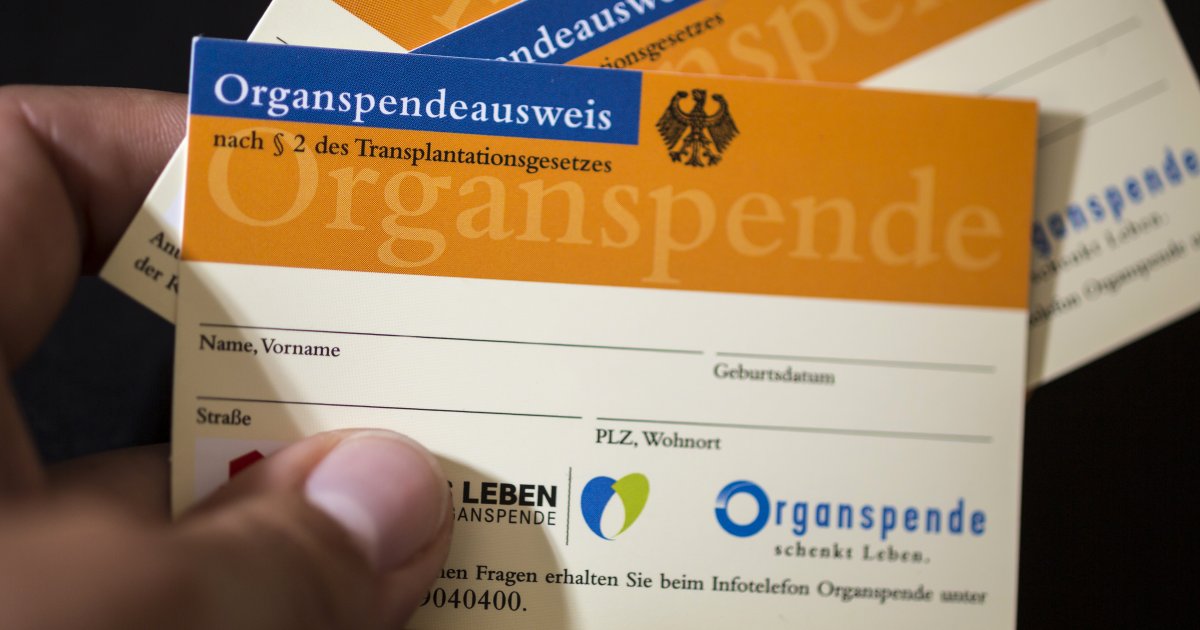 Pro- Und Contra Organspende Pdf Entscheidung oder Widerspruch: Pro und Contra zur Organspende | Vorwärts