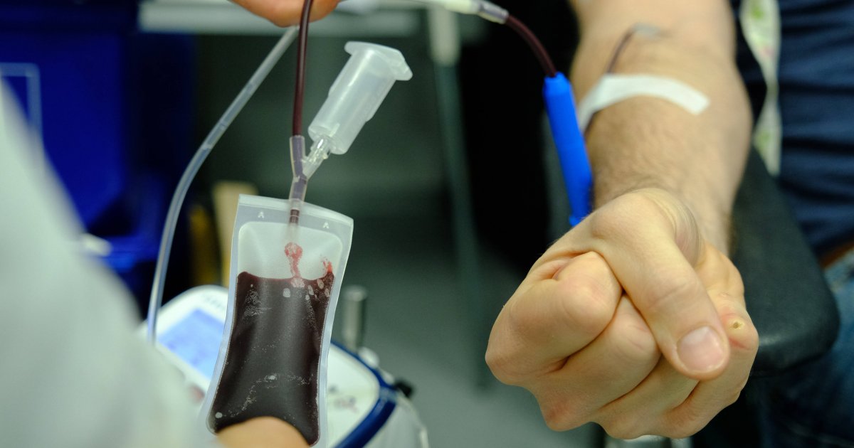 Was künftig darüber entscheidet, wer Blut spenden darf Vorwärts