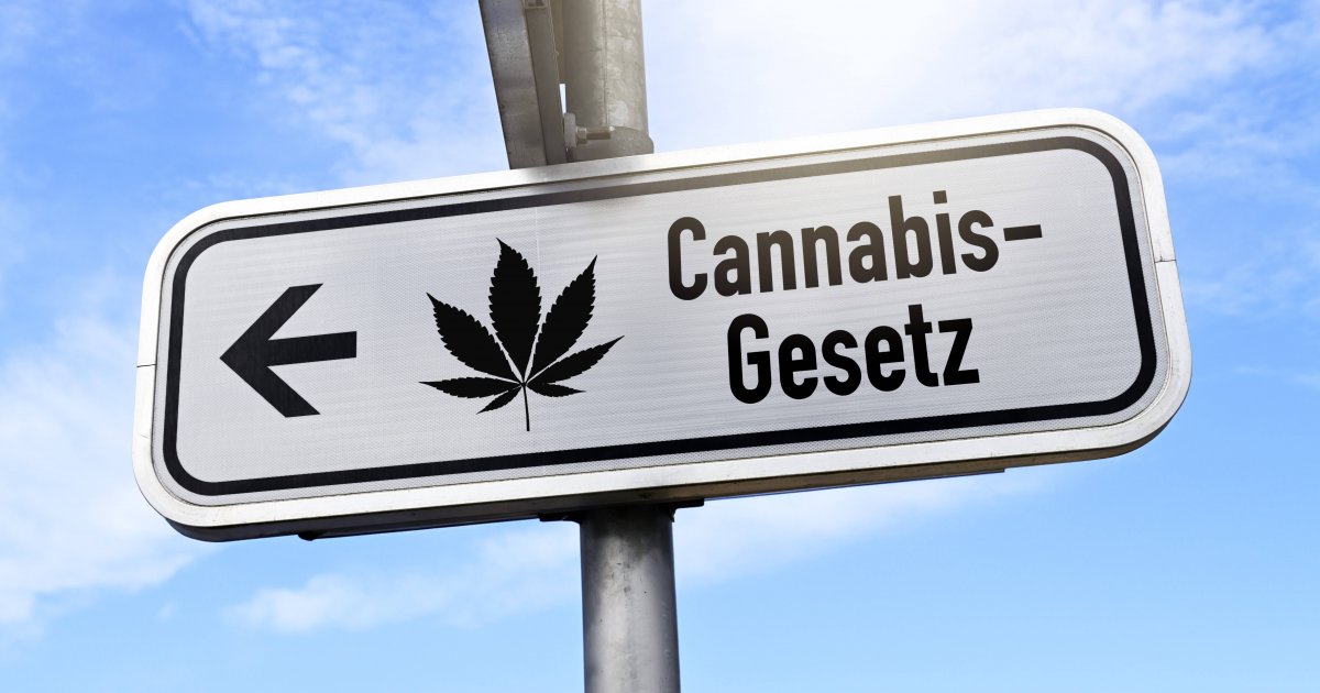 Cannabis-Freigabe: „Dieses Gesetz Ist Ein Paradigmenwechsel.“ | Vorwärts